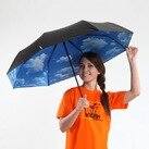Зонт складной Ясен день