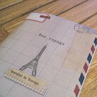 Обложка для паспорта “Париж, Париж!” фото 0