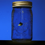 Электронный светлячок в банке - Firefly in a jar