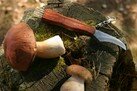 Нож грибной